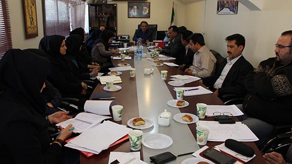 اعضای کمیته های هیات تکواندو استان تهران مشخص شد