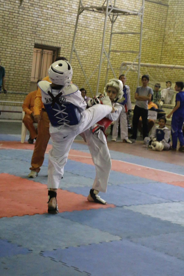 ۱۷و ۱۸ اردیبهشت ماه ،رقابتهای قهرمانی خردسالان  پسر استان تهران برگزار می شود