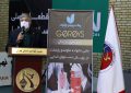 پولادگر: جام پایتخت از باشکوه‌ترین مسابقات مجازی است/ تکواندو ایران سال پرکاری را پشت سر گذاشت