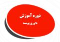تهران، میزبان چهار دوره آموزش داوری کشوری و استانی