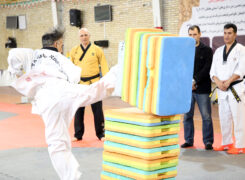 گزارش تصویری/بازدید سرپرست هیأت تکواندو استان از کارگاه آموزشی ویژه شرکت کنندگان تهرانی حاضر در مسابقات بین المللی ( کوکیوان کاپ)