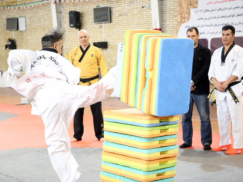 گزارش تصویری/بازدید سرپرست هیأت تکواندو استان از کارگاه آموزشی ویژه شرکت کنندگان تهرانی حاضر در مسابقات بین المللی ( کوکیوان کاپ)