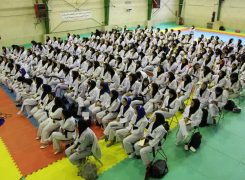 مربیان تهرانی برای حضور در مسابقات آماده شدند؛ برگزاری کارگاه آموزشی کوچینگ تکواندو